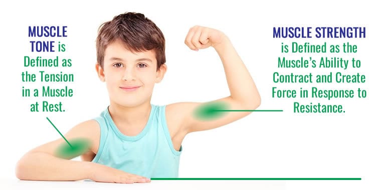What Is The Difference Between Muscle Tone And Strength?