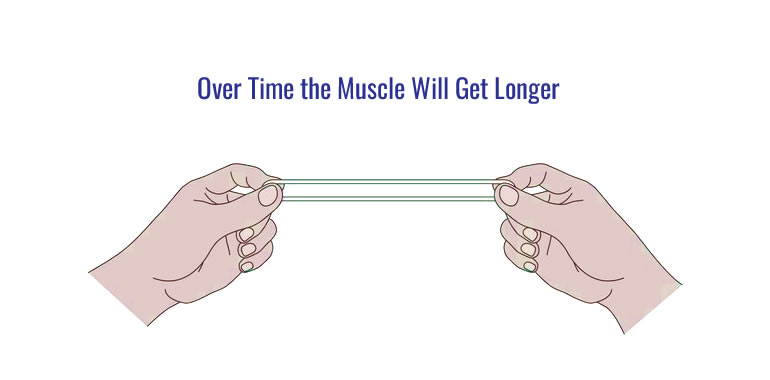 What You May Not Have Known About S T R E T C H I N G