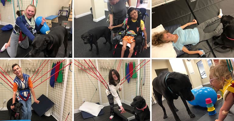 Benefits of Therapy Dogs